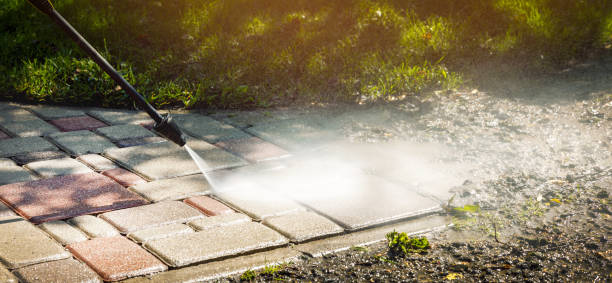 Animal Enclosure Cleaning in Blawnox, PA
